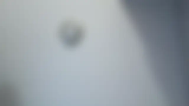 icwienersallday Webcam-Show