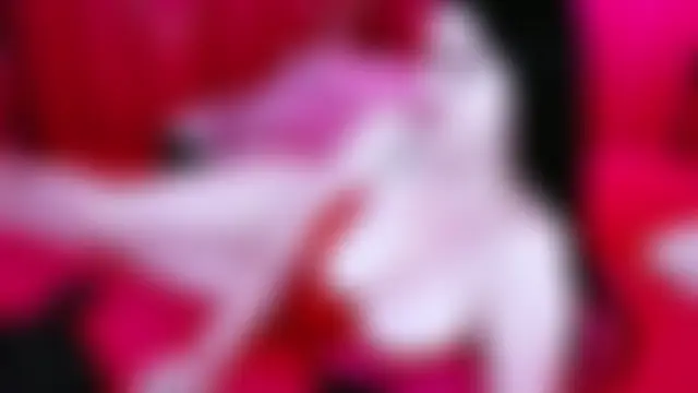 IVYDEAN Live XXX-Chat