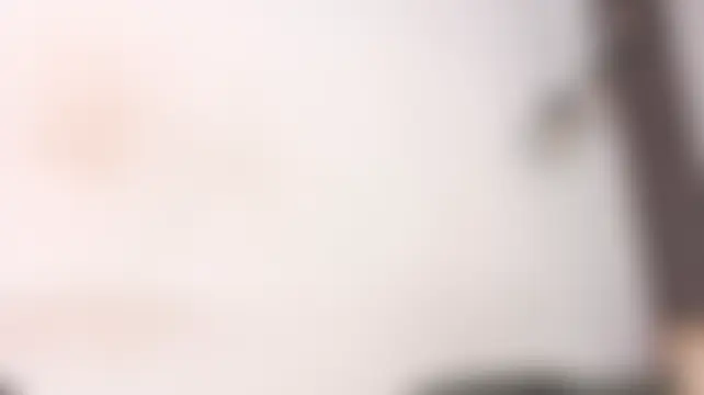 Chat ao vivo de michell_sael