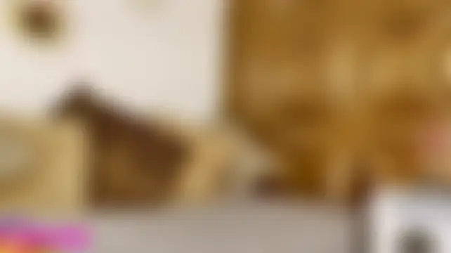 Czat XXX na żywo – Paulinamillerr