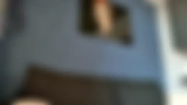 Chat ao vivo de Zenvyra