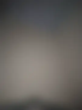 Pertunjukan Kamera Web ricardart