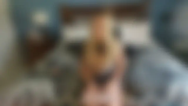 xxyourgirlblair élő chatszobája