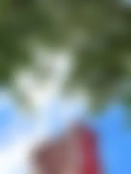 โชว์เว็บแคมของ didihairypussy
