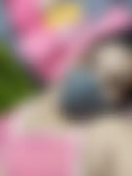 Chat +18 de sanayabose7 ao vivo