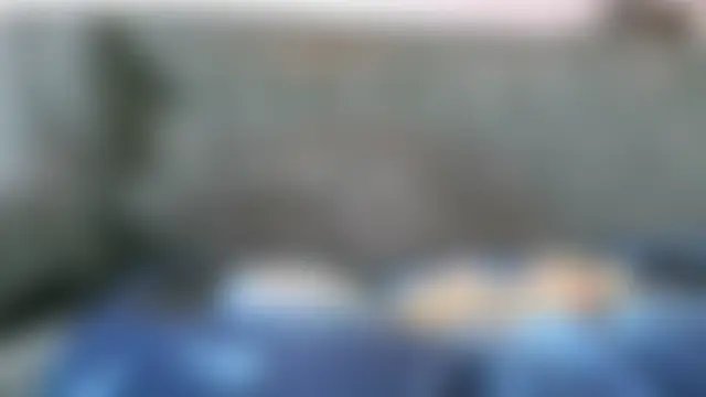 Show Webcam de naturistebretagne