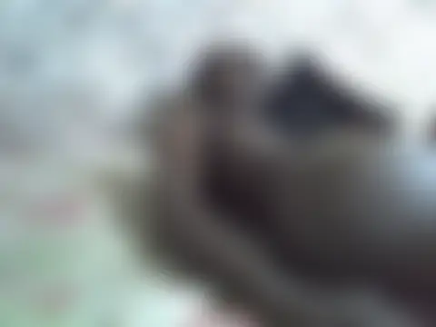 Show webcam de Poosexy3