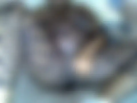 צ'אט XXX בשידור חי של Your_Bunny255