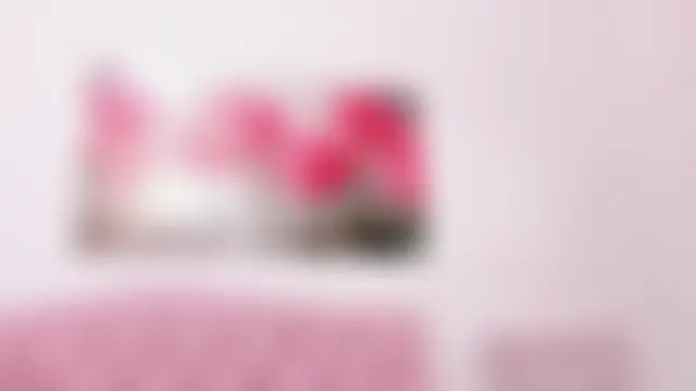 ห้องแชทสดของ pinky_f00x