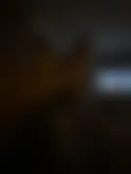 Nalgonasex_ Cameră chat live