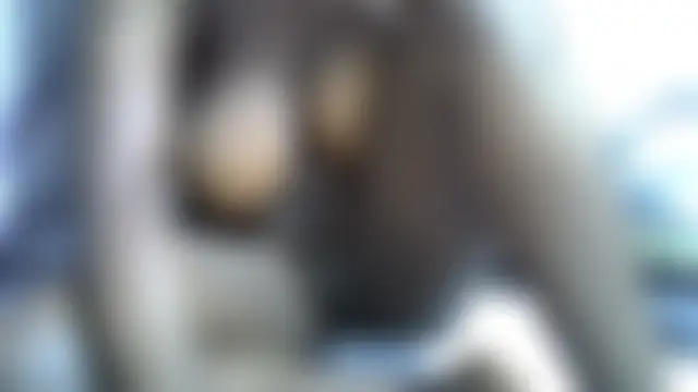 חדר צ'אט בשידור חי של cutiebie