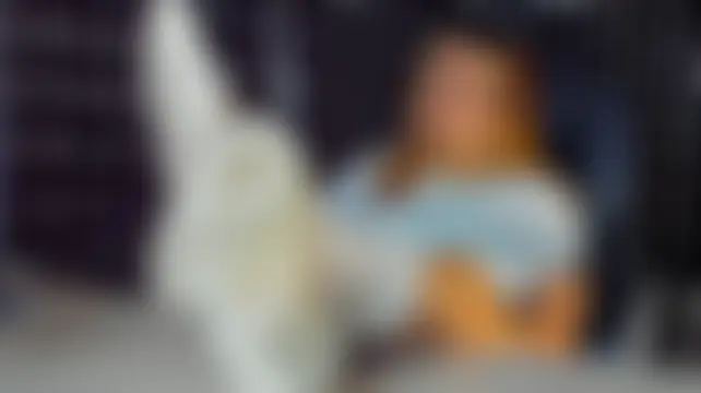 MissAlmaFenix Cameră chat live