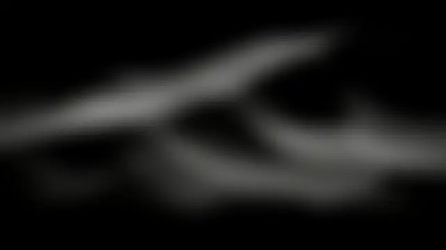 TheSkyeRae Live Chatrum