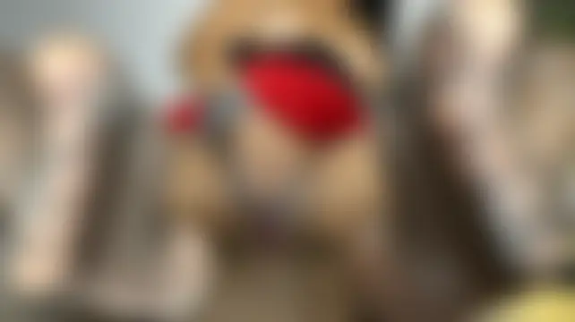 Chat ao vivo de AmandaSilkHeels_