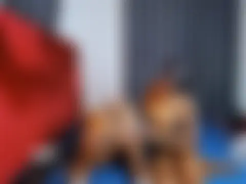 Živá chatovací místnost Lovedrizzles