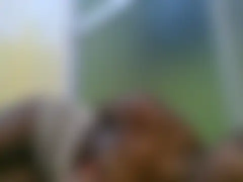 Swt_Coco254: онлайн-чат