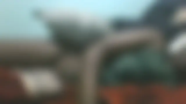 BIGAss_NICKYY 실시간 채팅방