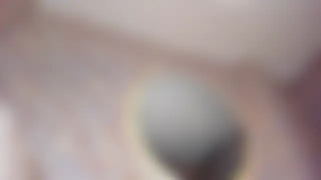 CHLOE_BLOWJOB: онлайн-чат