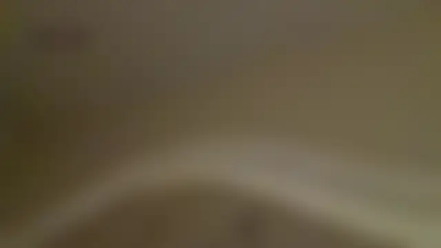 serafaucet লাইভ চ্যাট রুম