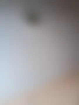 Sala de chat en directo de SweetAmyx