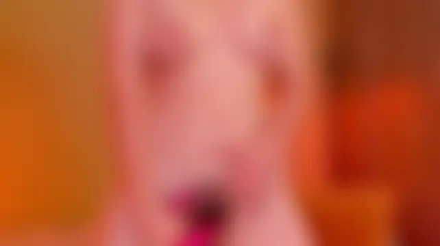 Fluffygarden élő chatszobája