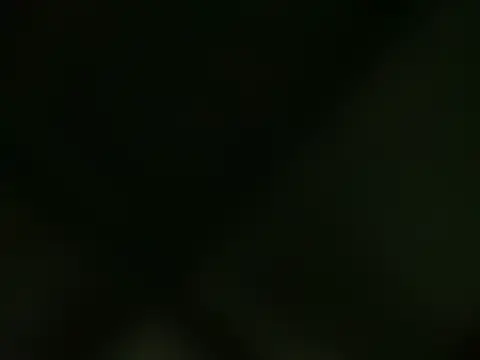 leakysushicat 即時聊天室