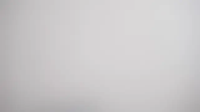 CaseyMulders 现场聊天室