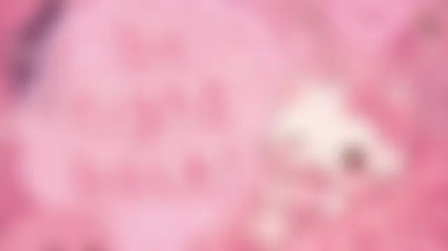 Онлайн чат Ella_Young
