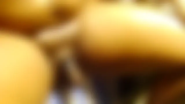 Sala de chat ao vivo de RickDaDickDickerson