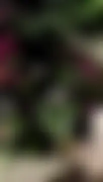 חדר צ'אט בשידור חי של mysteriouscouple001