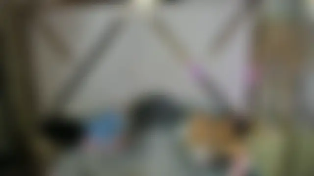 Danna_Sg – Naživo chatovacia miestnosť