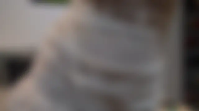 Živá chatovací místnost Jo_Reed