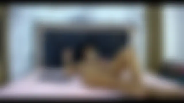 black_sexy_couple 실시간 채팅방