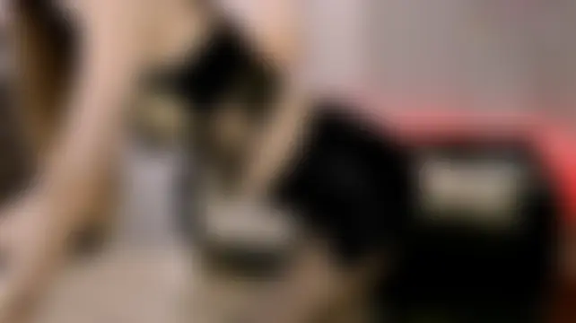 Ella_Sea Live Chatraum