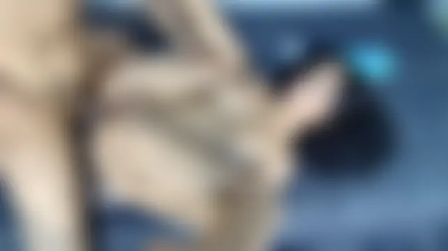 Kinky_doll2 실시간 채팅방