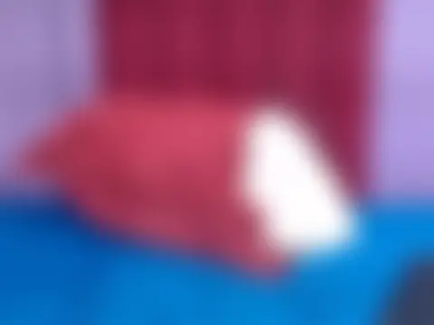 BustyMomo 실시간 채팅방