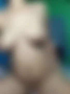 Vyxotic Live Chatraum