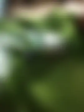 rituthapa লাইভ চ্যাট রুম