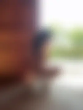 Chat soba uživo modela yingtao-888