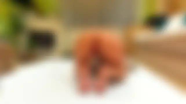 Chat soba uživo modela jaylynxxxx74