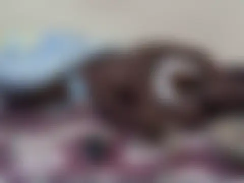 Chat ao vivo de squirtiebitch