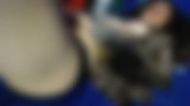 Chat soba uživo modela fulfill_fantasies1