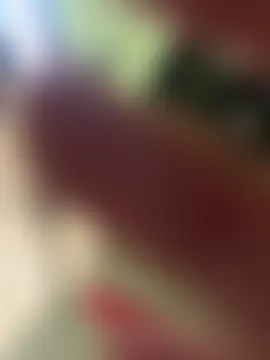 Chat ao vivo de Japinhadoamor