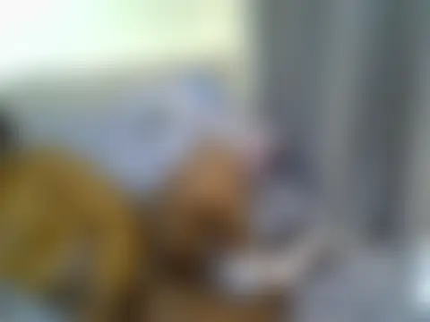 sexxydollyy 现场聊天室