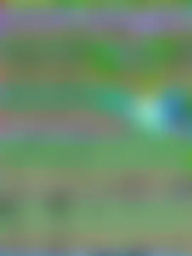 ToFabForYou লাইভ চ্যাট রুম