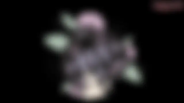 jannaink_ live-chat rom