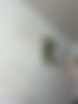 Chat ao vivo de IvonneOwen