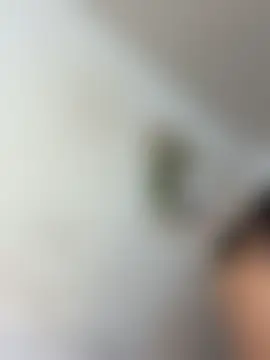 IvonneOwen Live Chatrum