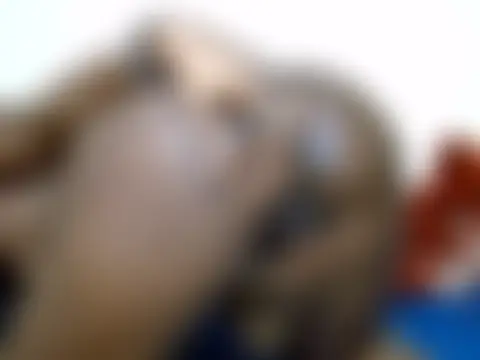 sexyvivah: δωμάτιο απευθείας συνομιλίας
