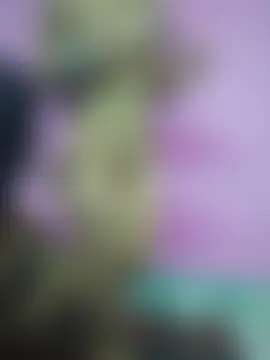 LovelyPriya 실시간 채팅방